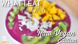 What I Eat In A Day, Raw Vegan + On-The-Go - Our Saturday Family Outing (EatMoveRest)