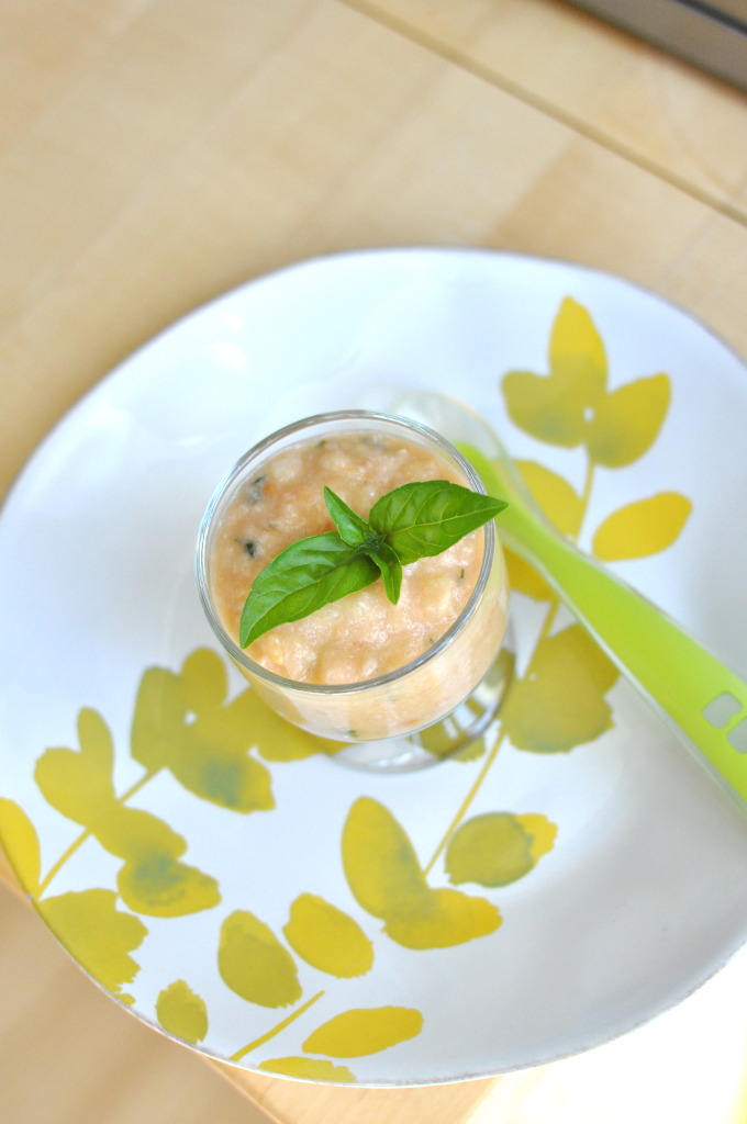 White Bean, Tomato, Carrot & Basil Puree