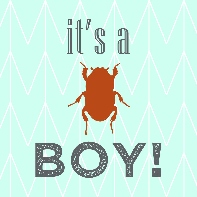 It's A Boy! | Sift & Whisk