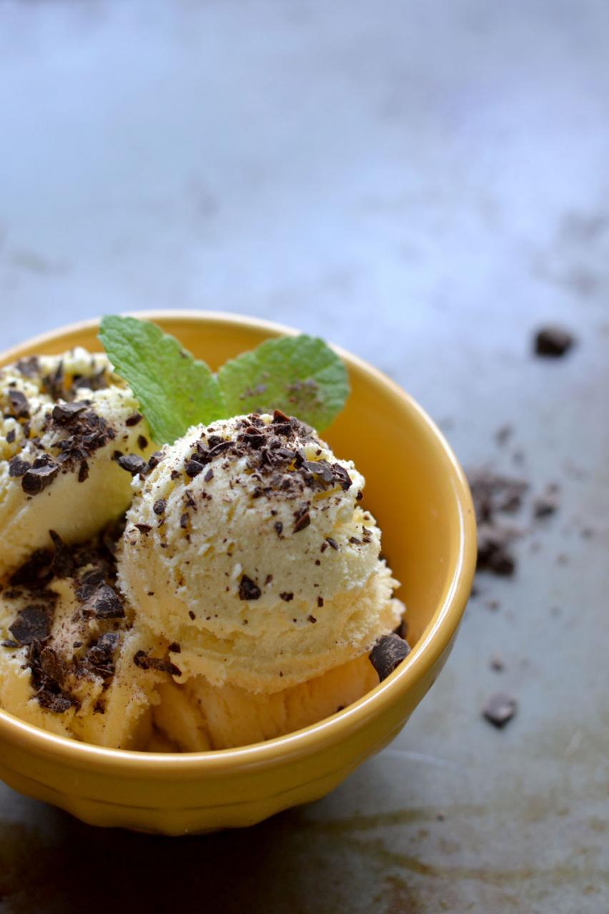 Backyard Mint & Honey Ice Cream via Sift & Whisk