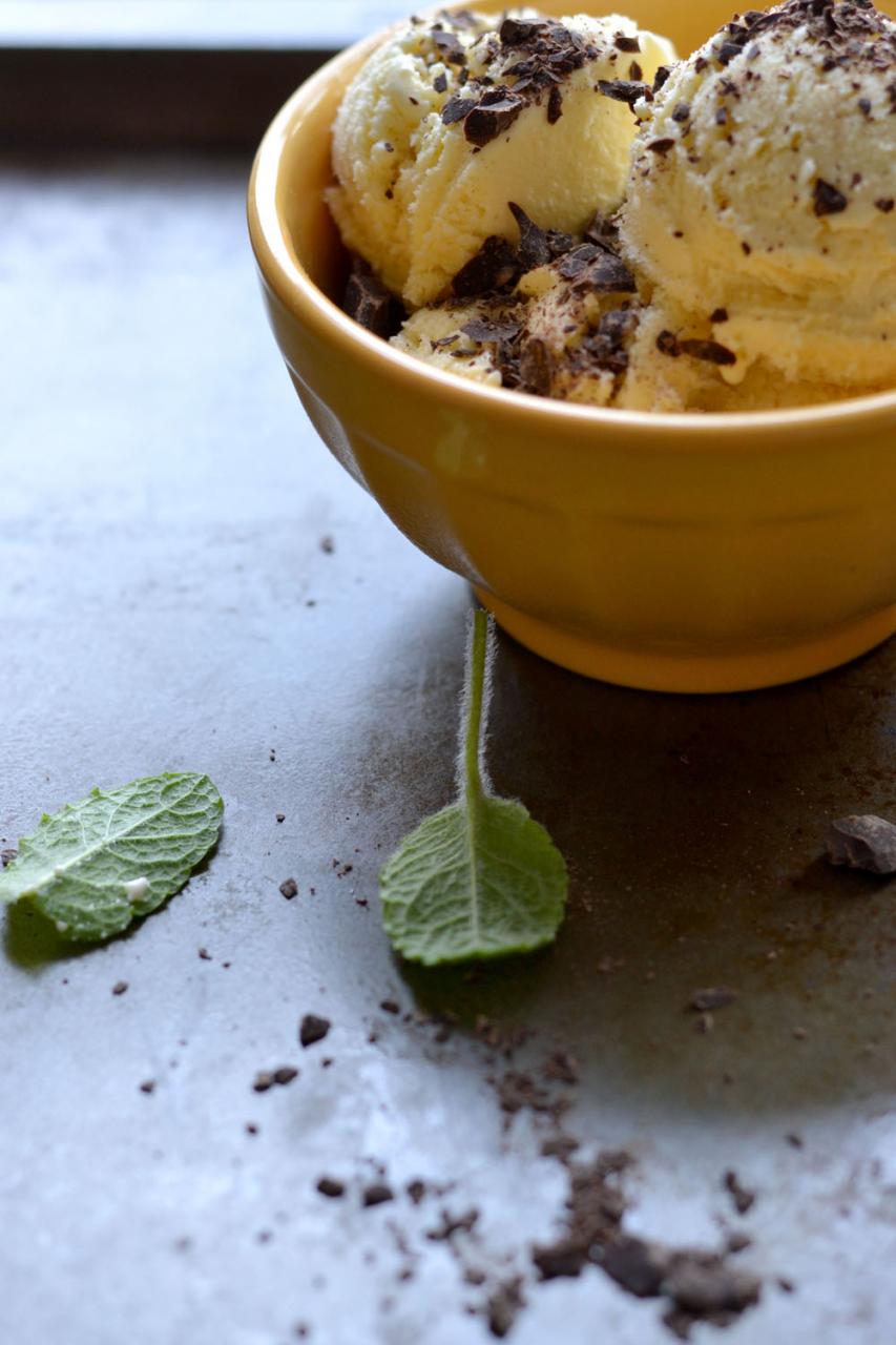 Backyard Mint & Honey Ice Cream via Sift & Whisk